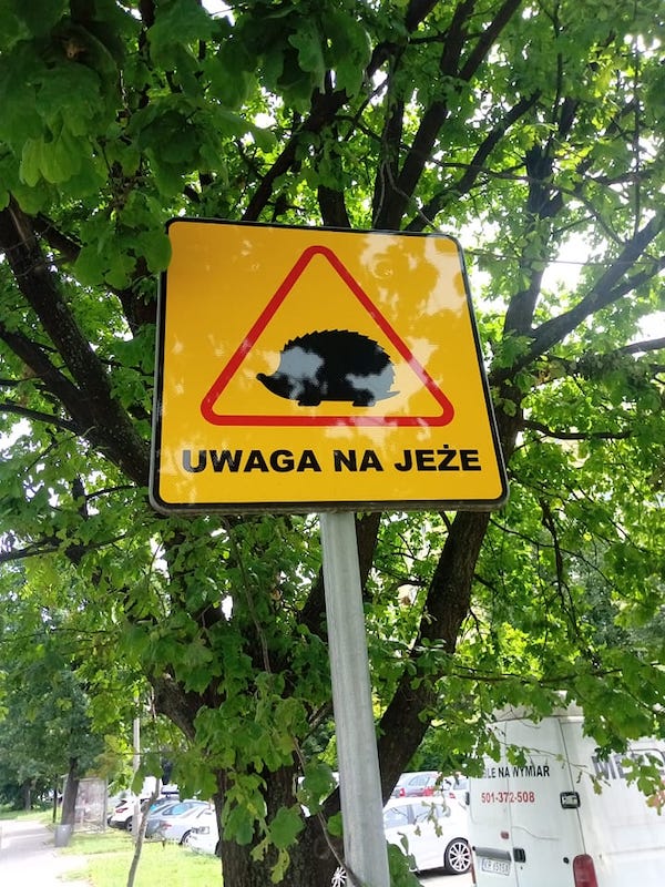 Uwaga na jeże