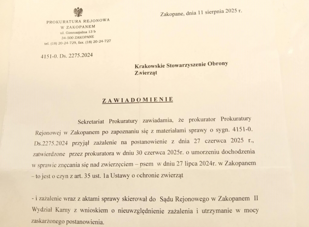 Wraca sprawa śmierci psa, który spadł z kolejki linowej. Sąd rozpatrzy zażalenie KSOZ
