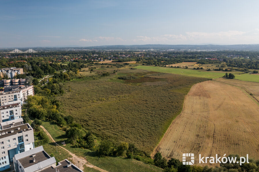 fot. Jan Graczyński