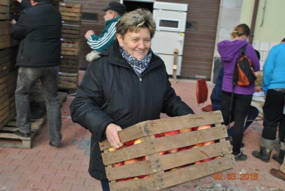 Jabłka dla mieszkańców Czorsztyna i Ochotnicy (zdjęcia)