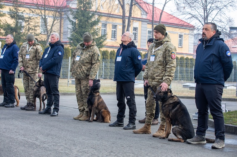 Psy saperskie znów pojadą do Ukrainy