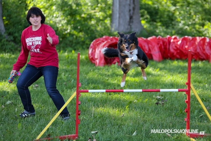 Treningi Nowy Targ Agility Team (zdjęcia)