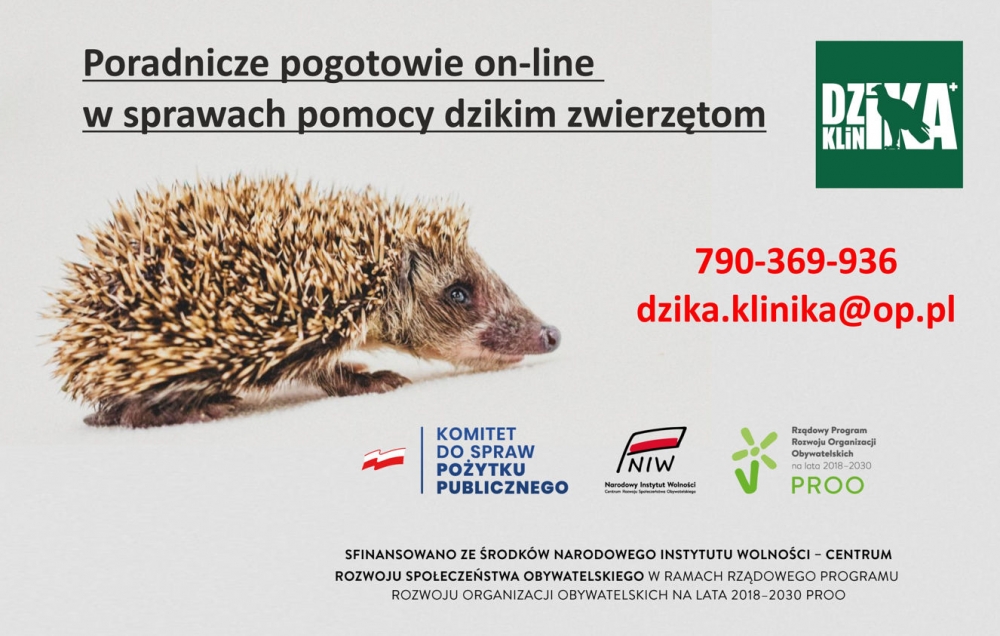 Poradnicze pogotowie on-line w sprawach pomocy dzikim zwierzętom