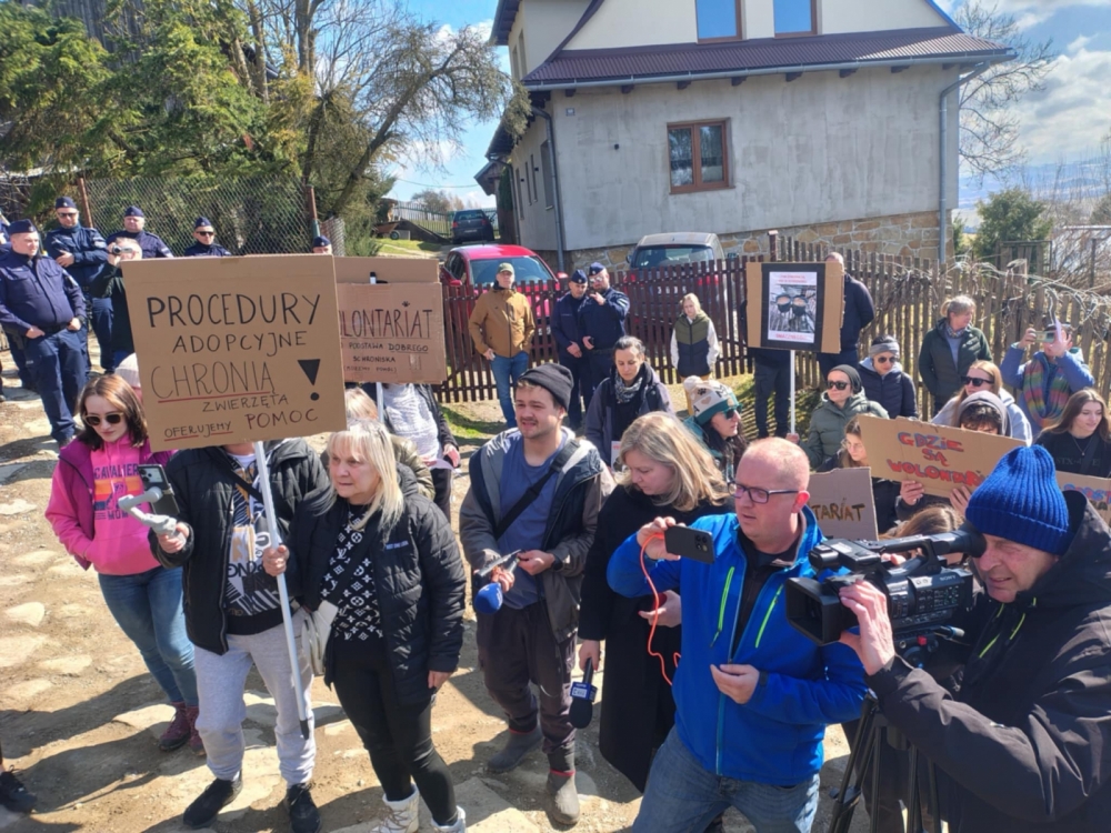 Awantura wokół schroniska dla zwierząt. Kontrole nie potwierdzają nieprawidłowości (video, zdjęcia)