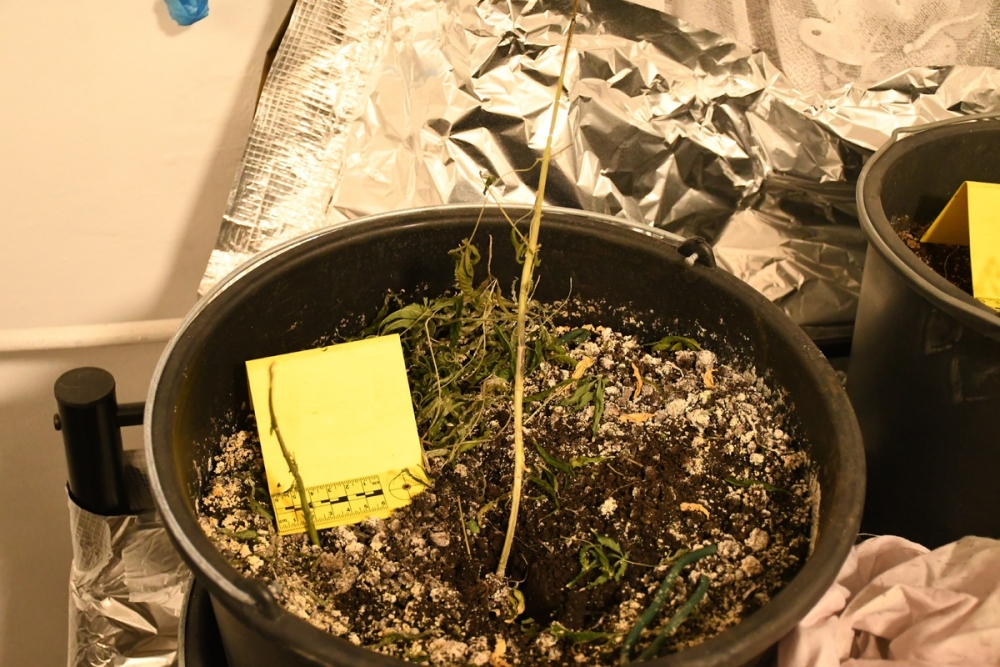 Wypadek, którego nie było