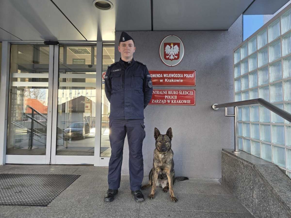 Policyjny Pies Wawelka odnalazł ludzkie szczątki