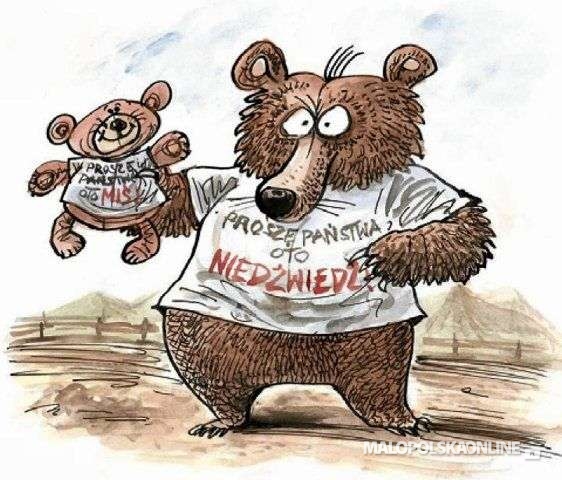 Rozpoczęła się akcja ekologiczna "Nie mów do mnie misiu!"