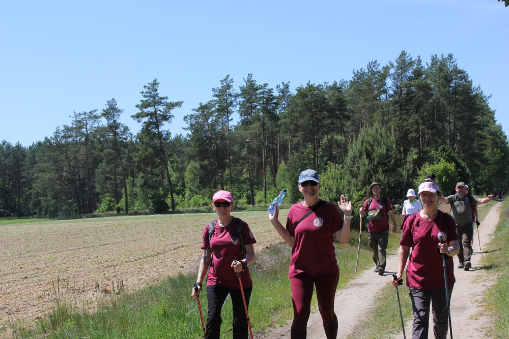 Rowerem albo pieszo przez Zaborski Park. Ruszyły zapisy na XV Rajd Ekoturystyczny