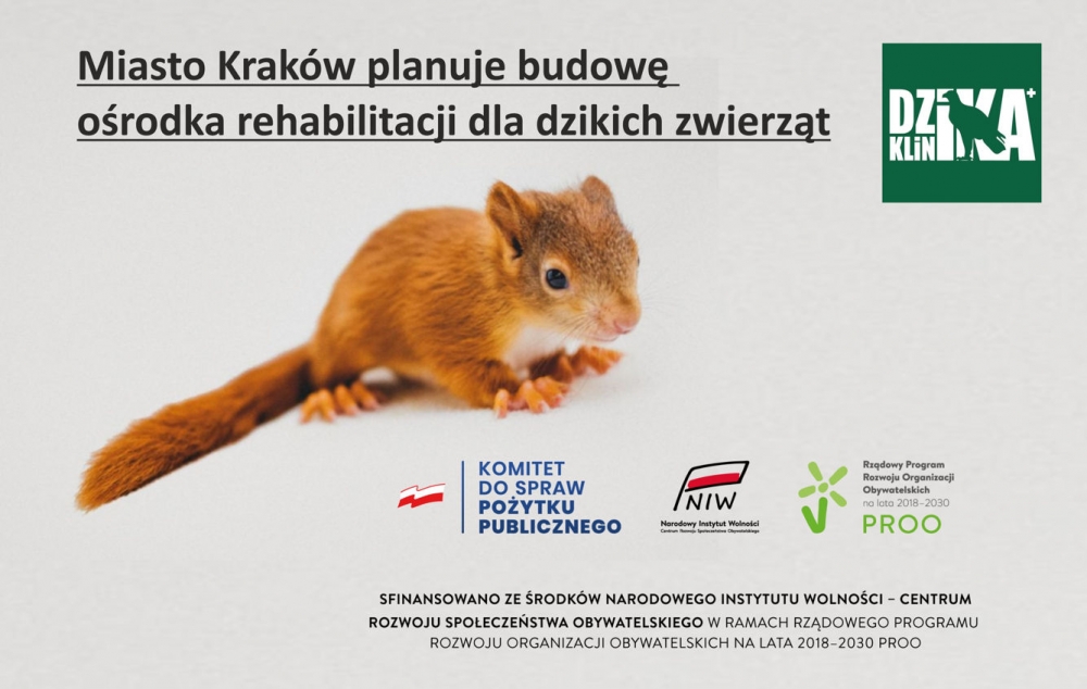 Miasto Kraków planuje budowę ośrodka rehabilitacji dla dzikich zwierząt