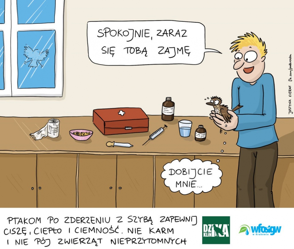 Akcja eko-Edukacja: Szklana pułapka