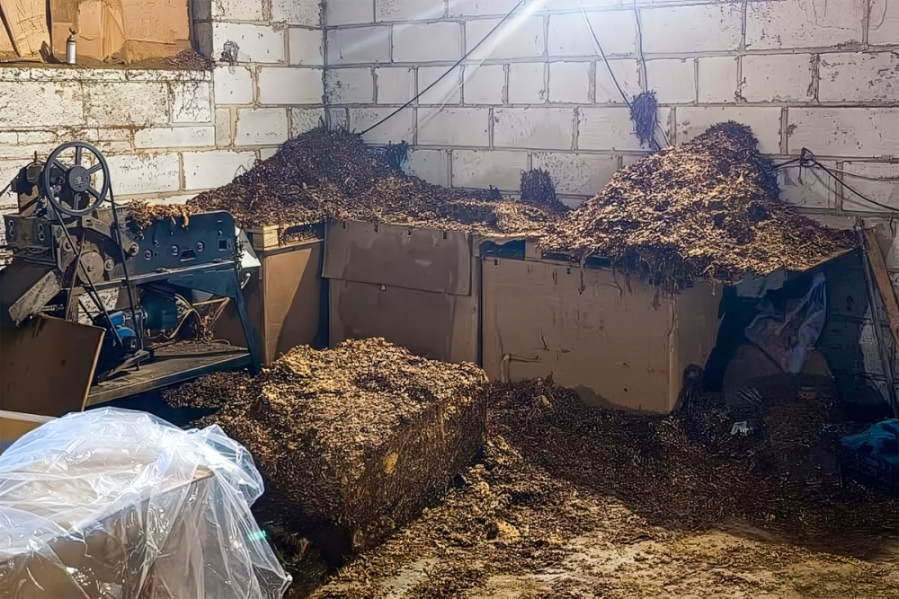Zlikwidowali nielegalną krajalnię tytoniu. Przejęto ponad 7 ton towaru wartego miliony złotych (video)