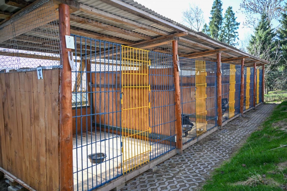 fot, Marcin Szkodziński