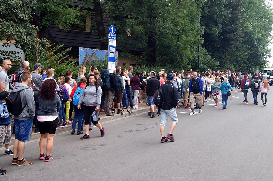 Turyści oblegają kursy busów do Morskiego Oka