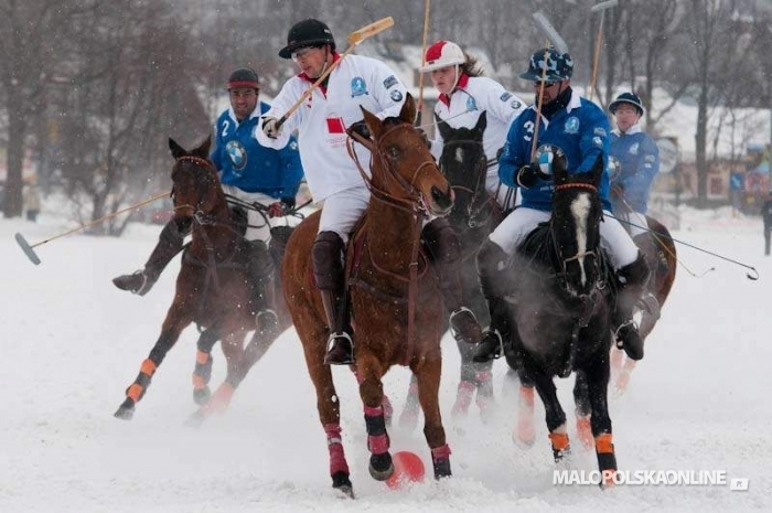 Zakopane Snow Polo (duża galeria) 