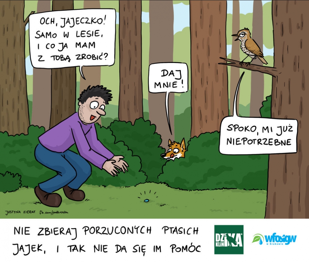 Akcja eko-Edukacja: Czy zabieranie porzuconych ptasich jaj ma sens?