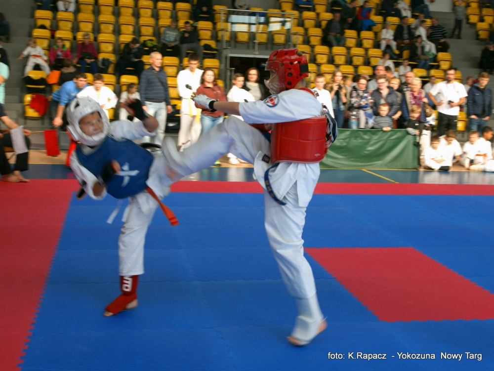 I Międzynarodowy Turniej Karate Shinkyokushin Skarżysko-Kamienna Cup 2015