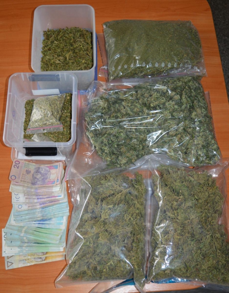 Policjanci zlikwidowali plantację konopi indyjskich
