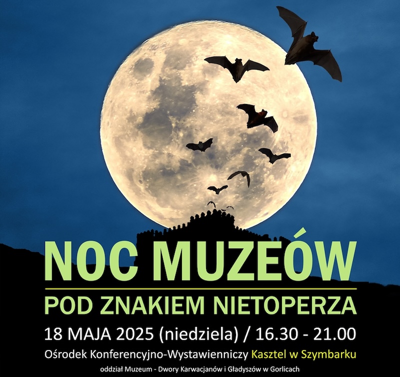 Pod znakiem nietoperza