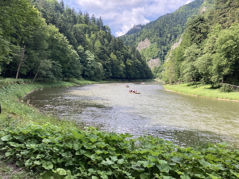 Wspólne sprzątanie Dunajca w Szczawnicy. Mieszkańcy znów zadbają o rzekę