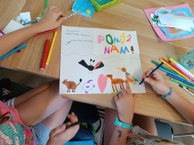 Bezpłatne zajęcia dla dzieci z edukacji ekologicznej na tamat dzikich zwierząt