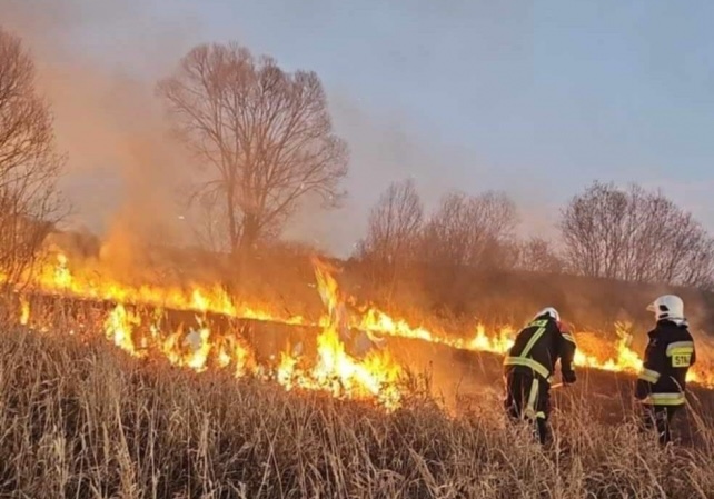 Tragiczny pożar trawy