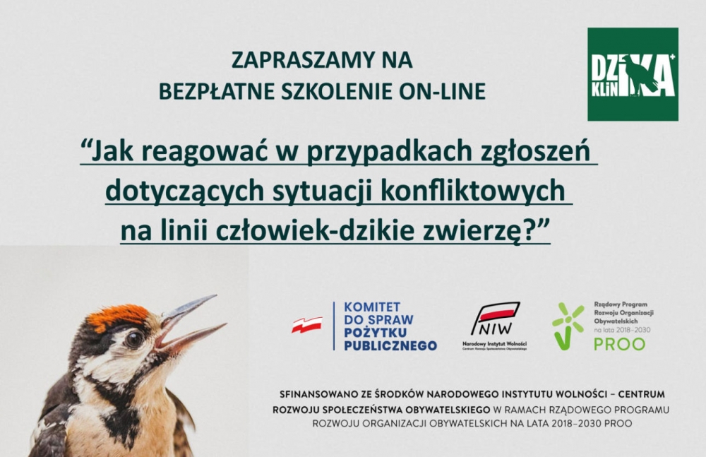 Bezpłatne szkolenie on-line o dzikich zwierzętach z Fundacją Dzika Klinika