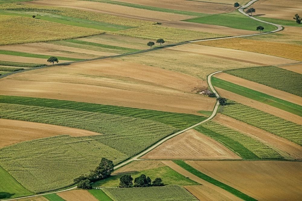 Małopolscy geodeci wśród najlepszych