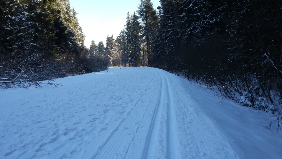 Nowy Targ zaprasza na trasy biegowe