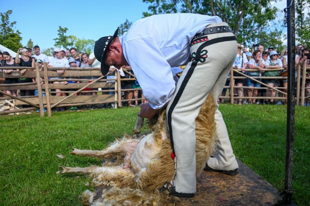 Festiwal Oscypka (zdjęcia)