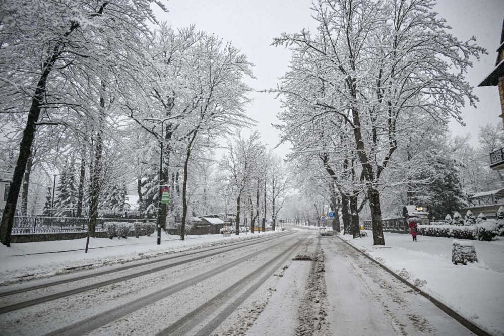 fot. M. Szkodziński