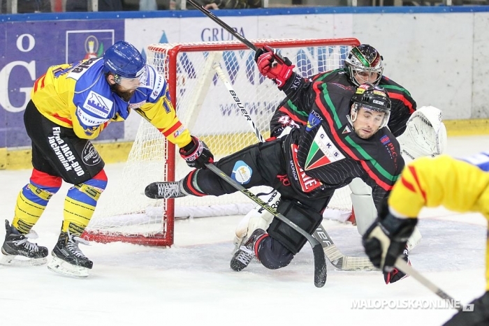 Hokej. TatrySki Podhale Nowy Targ – GKS Tychy 5:1 (zdjęcia)
