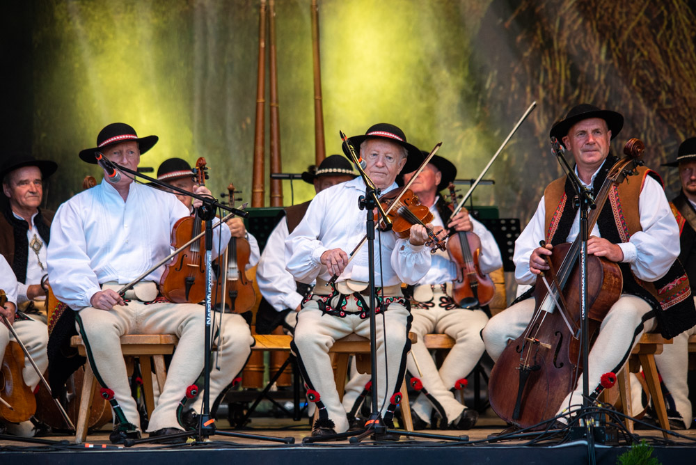 Koncert "Siła korzeni" (zdjęcia)