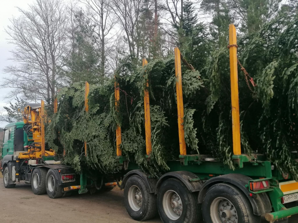fot. Regionalna Dyrekcja Lasów Państwowych w Krakowie