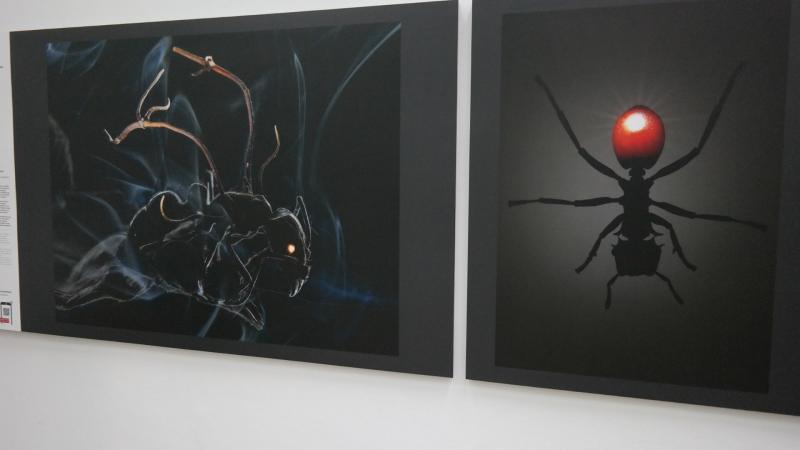 World Press Photo w Galerii Bunkier Sztuki (zdjęcia)