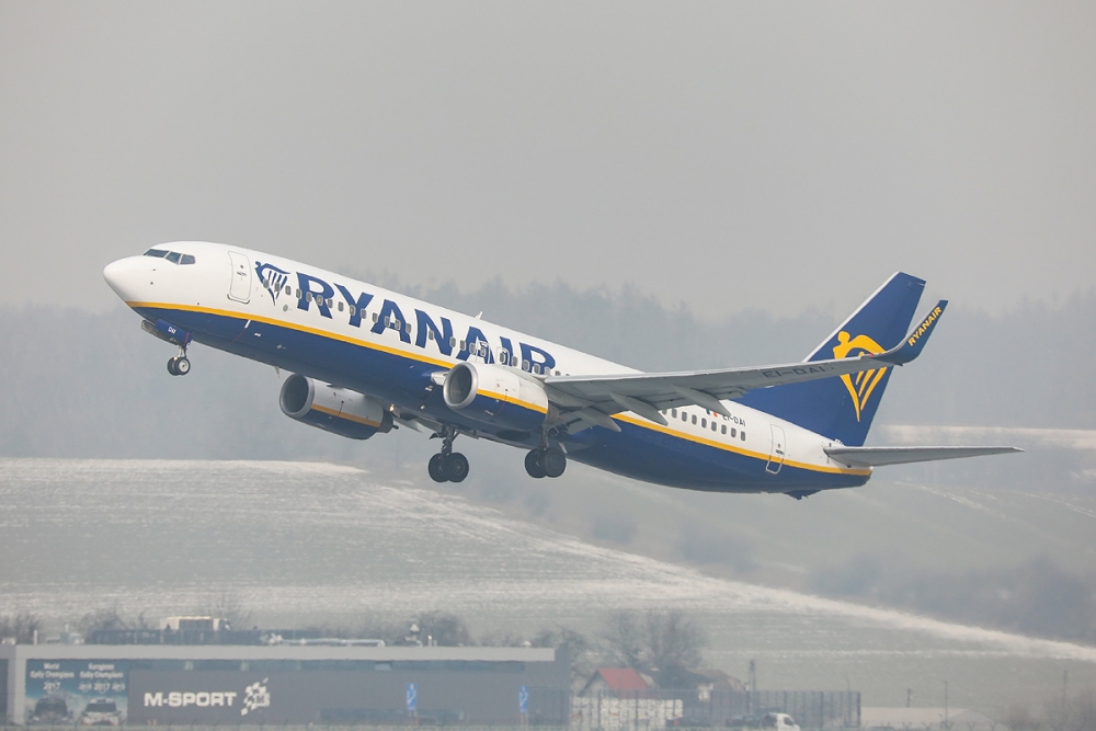 zdj. ilustracyjne, fot. M. Adamowski